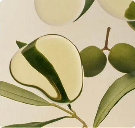 Squalane Oil (from Olives)
